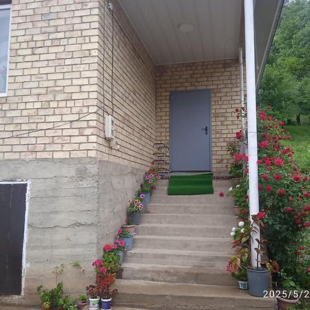 Guest House Kyzyl Alma Arkit Exterior foto